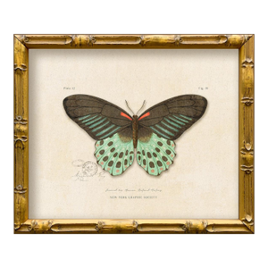 Reproduction Vintage "Garden Friends" Art Print (14), Framed Butterfly