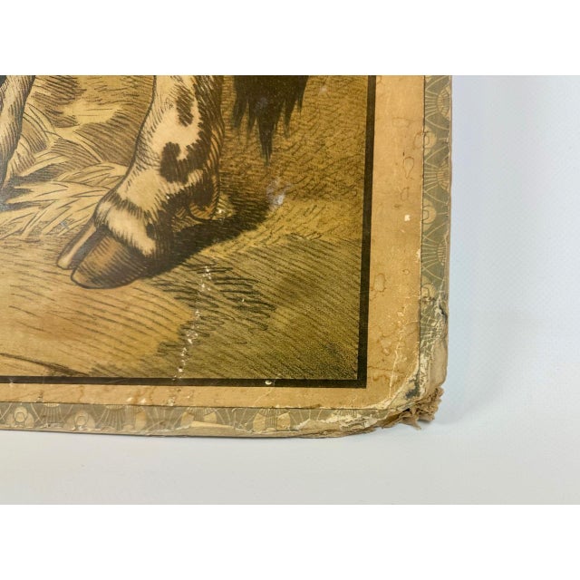 Czech Educational School Board with Cow, 1900s For Sale - Image 4 of 12