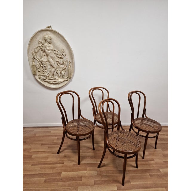 Bent Beechwood Dining Chairs from Salvatore Leone, Late 19th Century, Set of 4 For Sale - Image 3 of 11