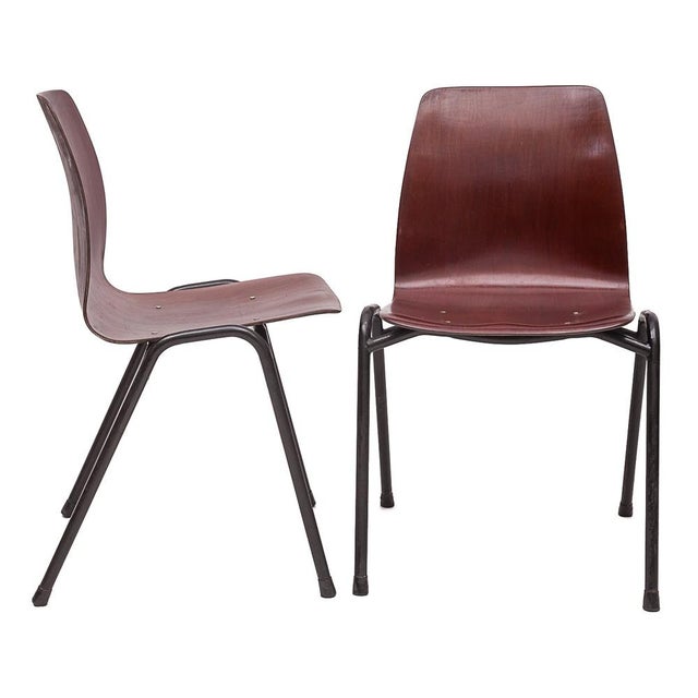 Vintage Chairs from Pagholz Flötotto, 1950s, Set of 6 For Sale - Image 6 of 13