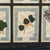 20th Century Italian Large Oak Frame with Pressed Flowers and Herbs, 1950s For Sale - Image 12 of 15