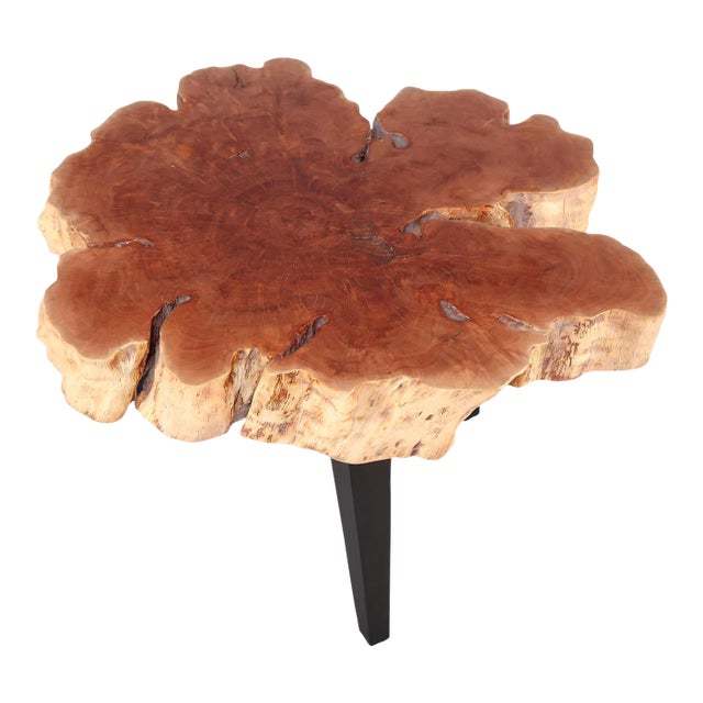 Modern Lychee Living Edge Coffee Table 98 For Sale