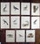 Dove Gray Antique 19th C. Large Folio Bird Lithographs - Set of 11 For Sale - Image 8 of 8