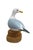 Realism Vintage Lynda C. Bryan Hand Carved Pine Wooden Wildlife Herring Gull Sculpture For Sale - Image 3 of 14