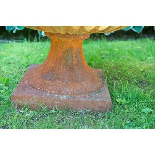 Pair Monumental Cast Iron Urn Planters For Sale In New York - Image 6 of 9