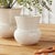 Early 21st Century Delaney Pot Small For Sale - Image 5 of 7