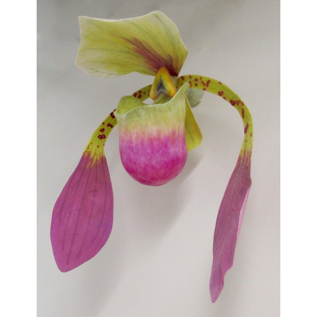 Contemporary C. 2015 Original Artist Jurgen Reichert "Paphiopedilum Mirabilis" - Silicone Orchid, Light Wall Sculpture For Sale - Image 3 of 18