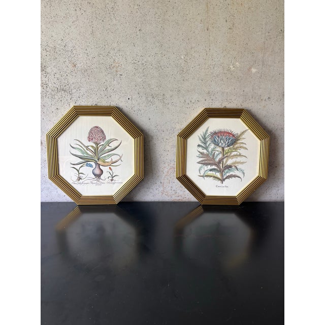 Late 20th Century Pair of Vintage Italian Botanical Prints in Gilt Octagonal Frames, Made in Italy For Sale - Image 5 of 5
