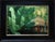 The artwork depicts a lush jungle scene, dominated by large, vibrant green leaves that create a sense of depth and...
