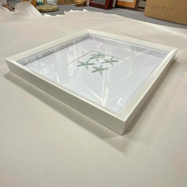 1980s Vintage Coastal Chic Framed Sea Urchin and Mint Starfish Shadow Boxes - A Pair. For Sale - Image 10 of 11