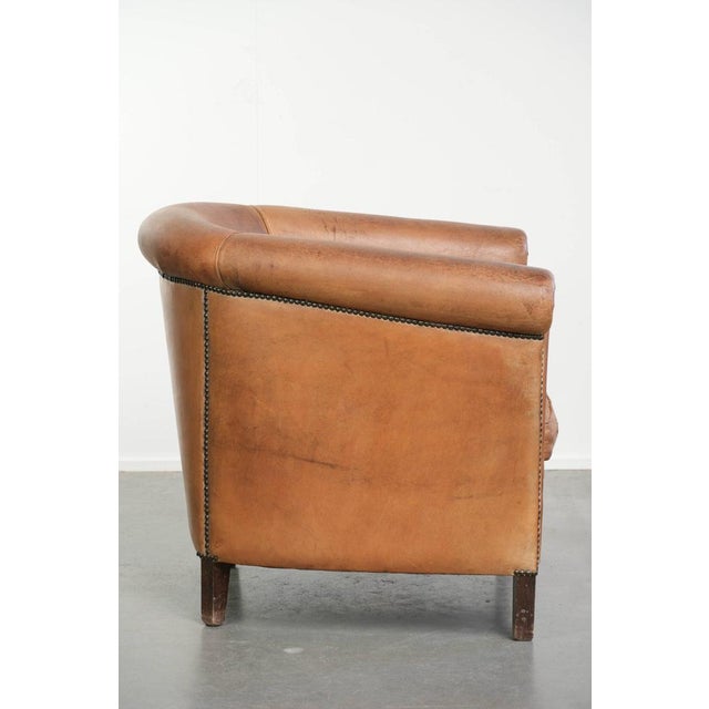 Vintage Sheepskin Club Armchair For Sale - Image 3 of 15