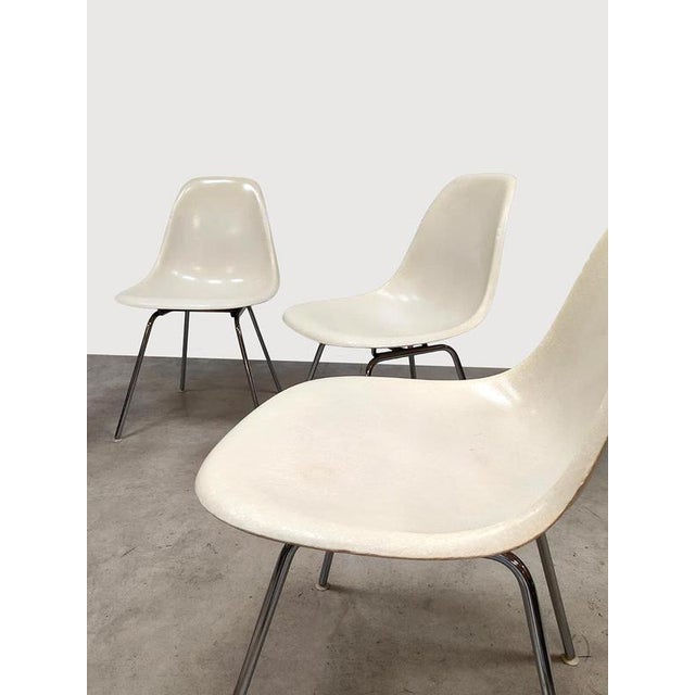 1960s Vintage Fiberglass DSX Dining Chairs by Charles & Ray Eames for Herman Miller, 1960s, Set of 6 For Sale - Image 5 of 9