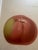 Series of 4 19th C Hand Colored Engravings of Apples For Sale - Image 9 of 17