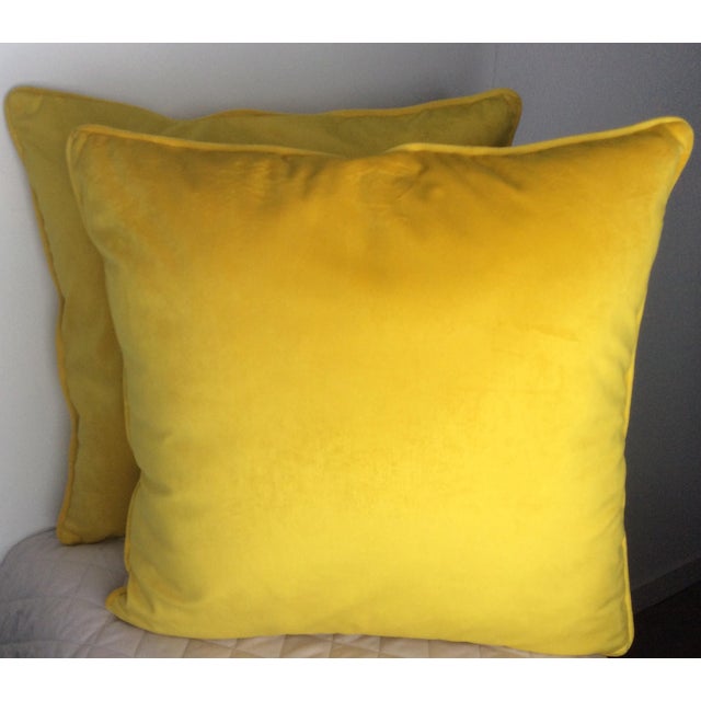 Velvet Yellow Pillow Chairish