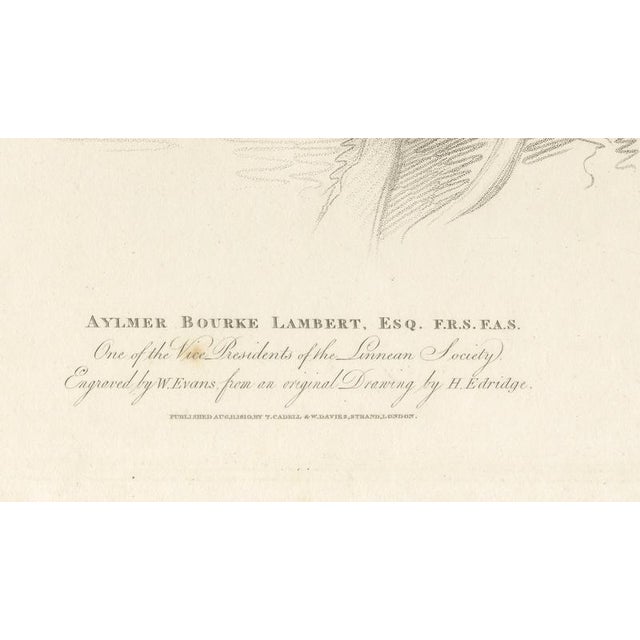 Early 19th Century After Henry Edridge, Aylmer Bourke Lambert Portrait, Stipple Engraving, 1810 For Sale - Image 5 of 8