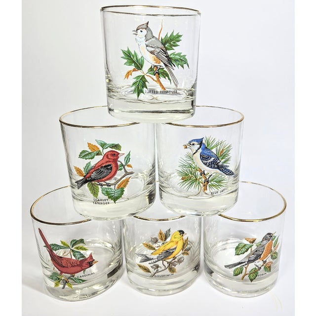 Birdwatchers Songbird Lowball Glasses- Set of Six For Sale - Image 12 of 12
