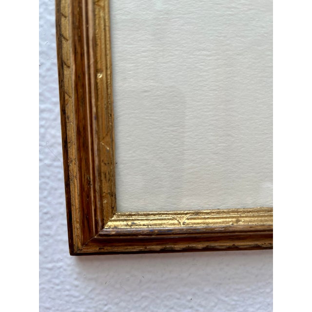 Framed “Parakeets” Bird Lithographs - a Pair by John Cassell For Sale In San Francisco - Image 6 of 12