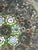 Paperweight Vintage Millefiori Art Glass Hand Made For Sale - Image 10 of 16