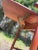 Mid Century Modern Drop-Leaf Rolling Dry Bar | in Style of Arthur Umanoff For Sale - Image 12 of 12
