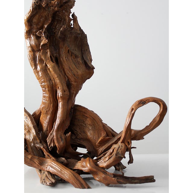 Wood Mid-Century Sculptural Driftwood Lamp For Sale - Image 7 of 12