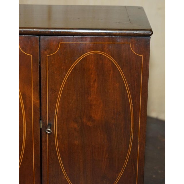 Georgian Sheraton Collectors Cabinet, 1820s For Sale - Image 9 of 18