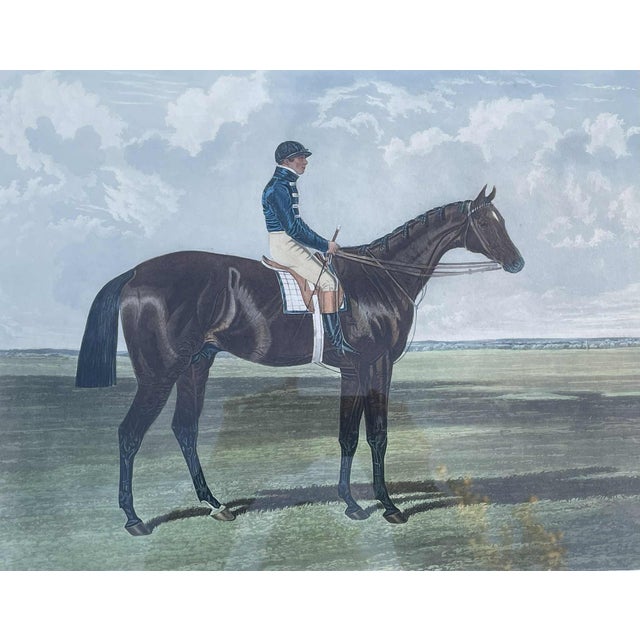 "Mango" the Winner of the Great Saint Leger Stakes at Doncaster 1837 Engraved Print Proof For Sale - Image 16 of 18