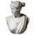 Grand Tour Marble Bust of Diana of Versailles, 19th Century For Sale - Image 16 of 18