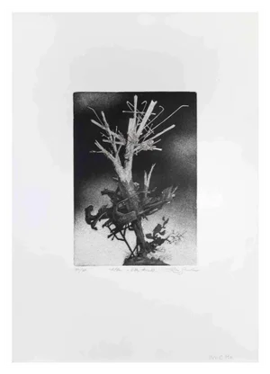 Leo Guida, The Tree at Villa, Etching, 1970s