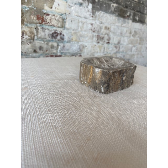 Hand-Carved Petrified Teak Bowl / Organic Rustic Decorative Vessel For Sale In New York - Image 6 of 10