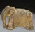 Weathered Terracotta Elephants, 1900, Set of 2 For Sale - Image 13 of 17
