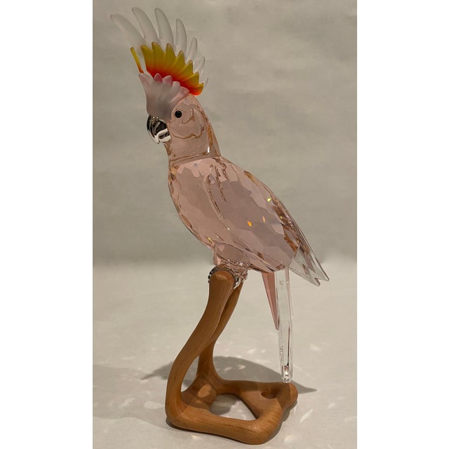 This retired Swarovski crystal Paradise bird is the Cockatoo. Made from kakadu red crystal (which is more of a dark pink...