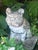 Antique Weathered French Bull Dog Concrete Dog Statue, C. 1940's For Sale - Image 14 of 15