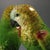 Rare Delphin Massier Parrots Figural Vase For Sale - Image 11 of 18