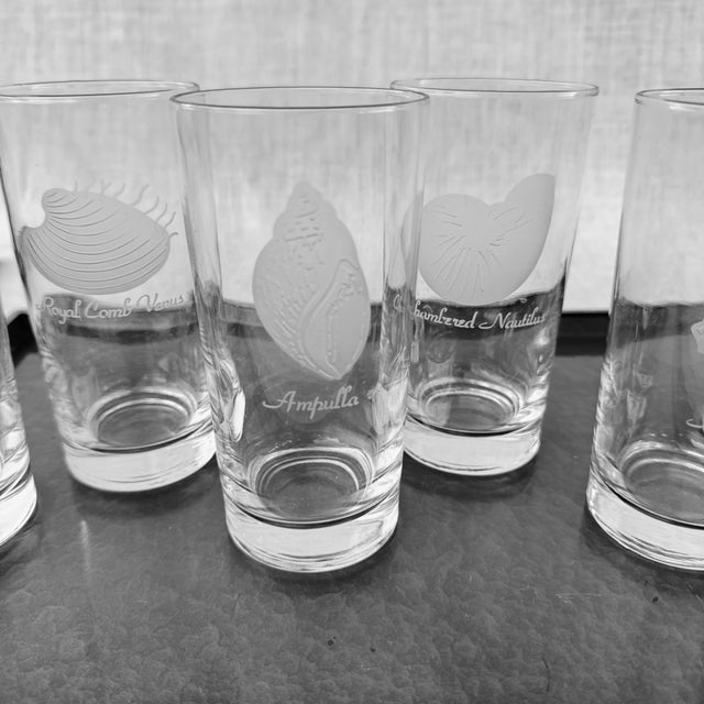 Glass Collection of Tall Glassware With Etched Seashell Designs- Set of 6 For Sale - Image 7 of 10