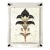 “Sovereign” Art Deco Floral Fragment| Hand-Textured Acrylic Frame Wall Art For Sale