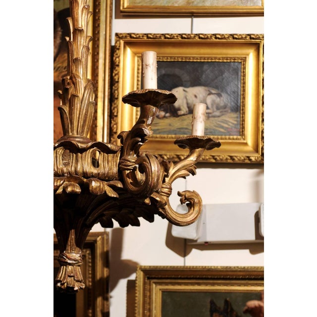 Gold Early 20th Century French Five-Light Foliage Themed Giltwood Carved Chandelier For Sale - Image 8 of 10