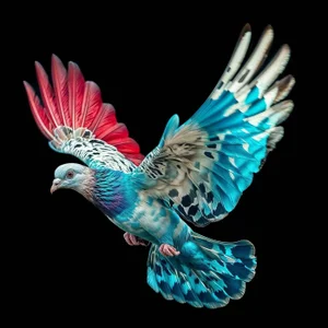 Nicobar Pigeon, Contemporary Color Photography