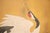 After "Dancing Cranes" by Atsushi Fujii, Late Showa Japanese Byobu Screen For Sale - Image 4 of 17