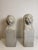 Florentine Lions in White Carrara Marble, Late 19th Century, Set of 2 For Sale - Image 13 of 13
