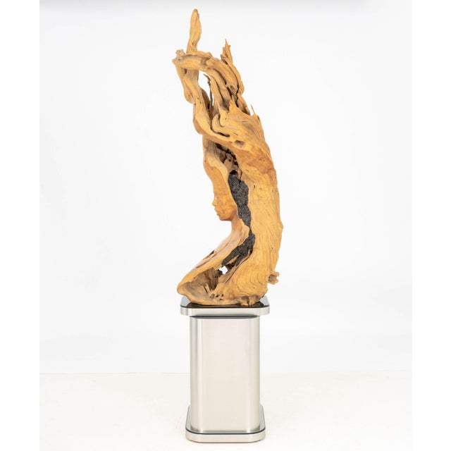 Dale Zarrella Portrait Driftwood Sculpture, 1996 For Sale - Image 15 of 18