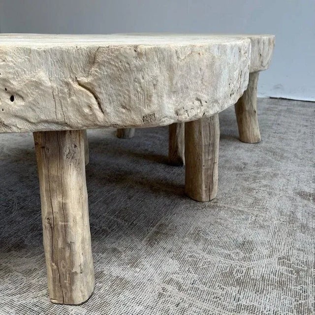 Late 20th Century Cypress Wood Stump Slice Coffee Table Set of 2 For Sale - Image 9 of 11