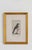 Sculpture Materials 19th Century Set of Framed Avian / Bird Engravings For Sale - Image 7 of 11