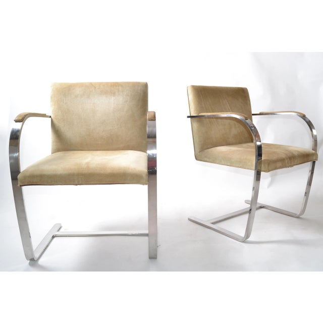 Mies Van Der Rohe for Knoll Beige Ultrasuede Stainless Steel Brno Chairs - Pair For Sale - Image 13 of 13