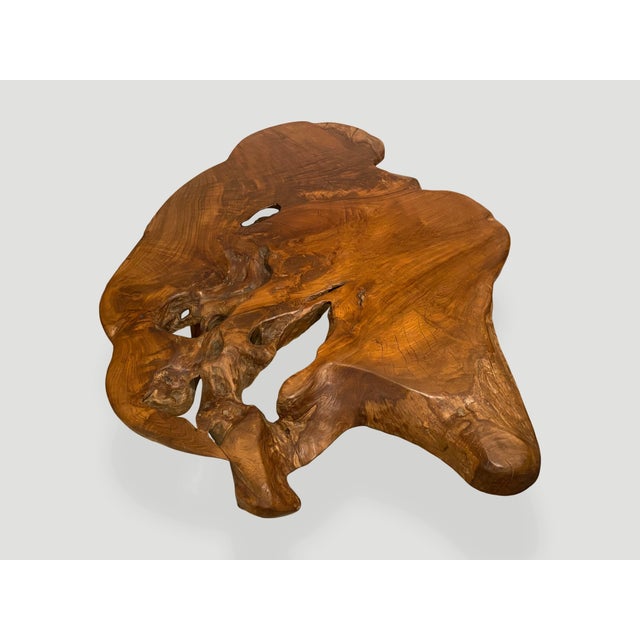 2010s Andrianna Shamaris Organic Teak Root Coffee Table For Sale - Image 5 of 18