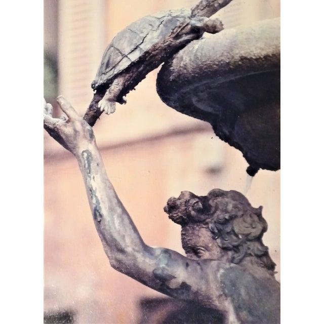 Silvia Zanini, Turtle Fountain and the Fountain of the Rivers, Photographic Paper For Sale - Image 4 of 5