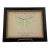 Vintage Luna Moth Natural History Insect Print For Sale