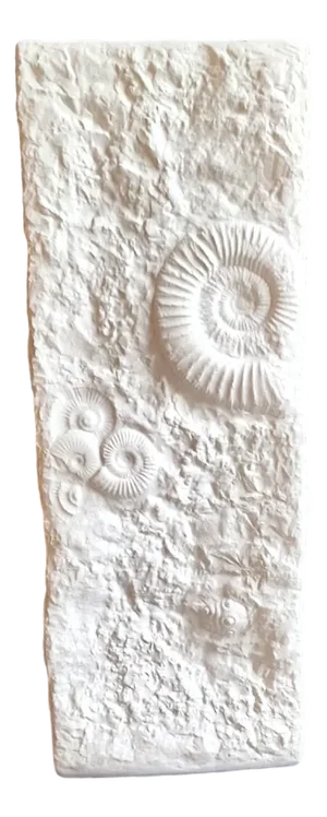 Large Vintage German Vase in White Bisque Porcelain with the Relief Ammonites by Kaiser, 1970s