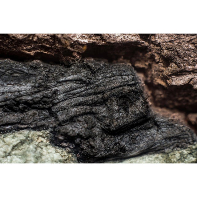 Marko Milić, Stone Lion, Abstract Photography For Sale