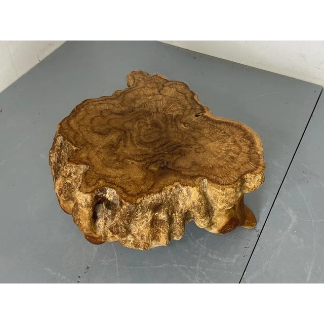 Rustic Wabi Sabi Walnut Tree Trunk Side Table, 1960s For Sale - Image 6 of 8