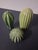 2020s Minimalist 3 Pc. Glazed Stoneware Cacti - Set of 3 For Sale - Image 5 of 11